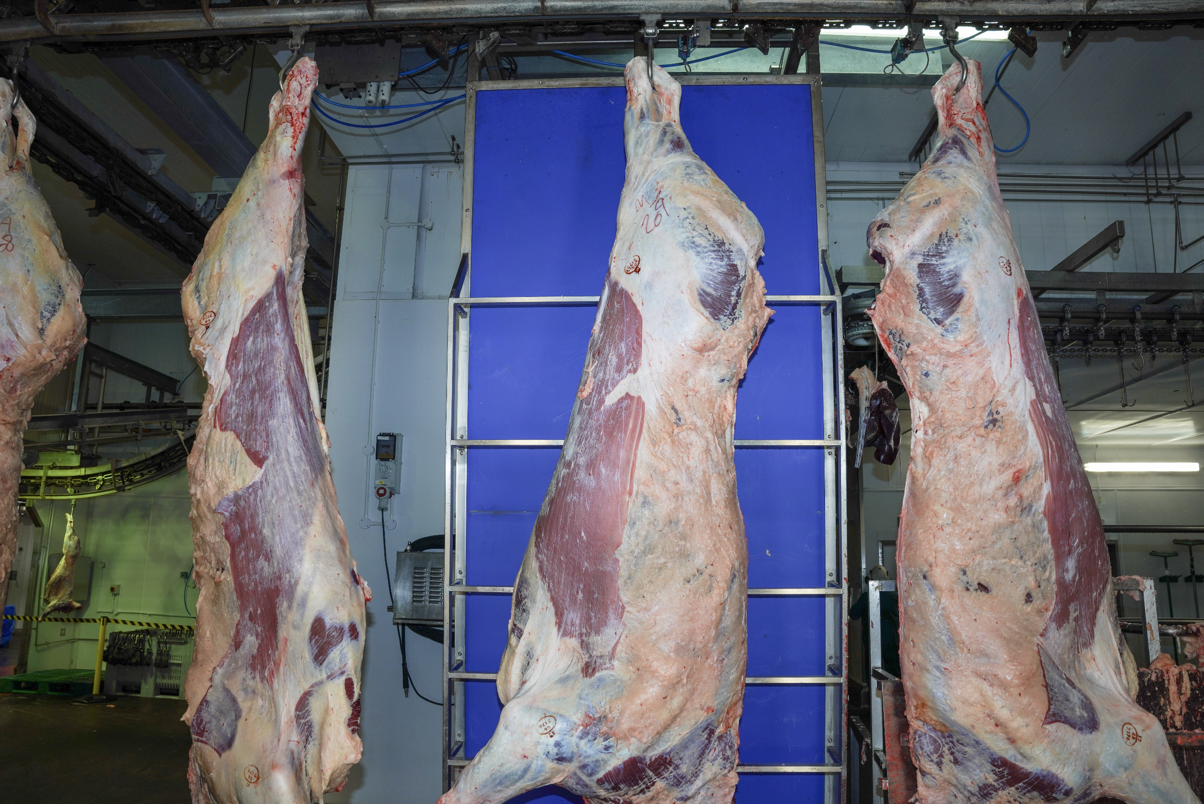 Screenshot 2025-12-15 at 12.47.12.png