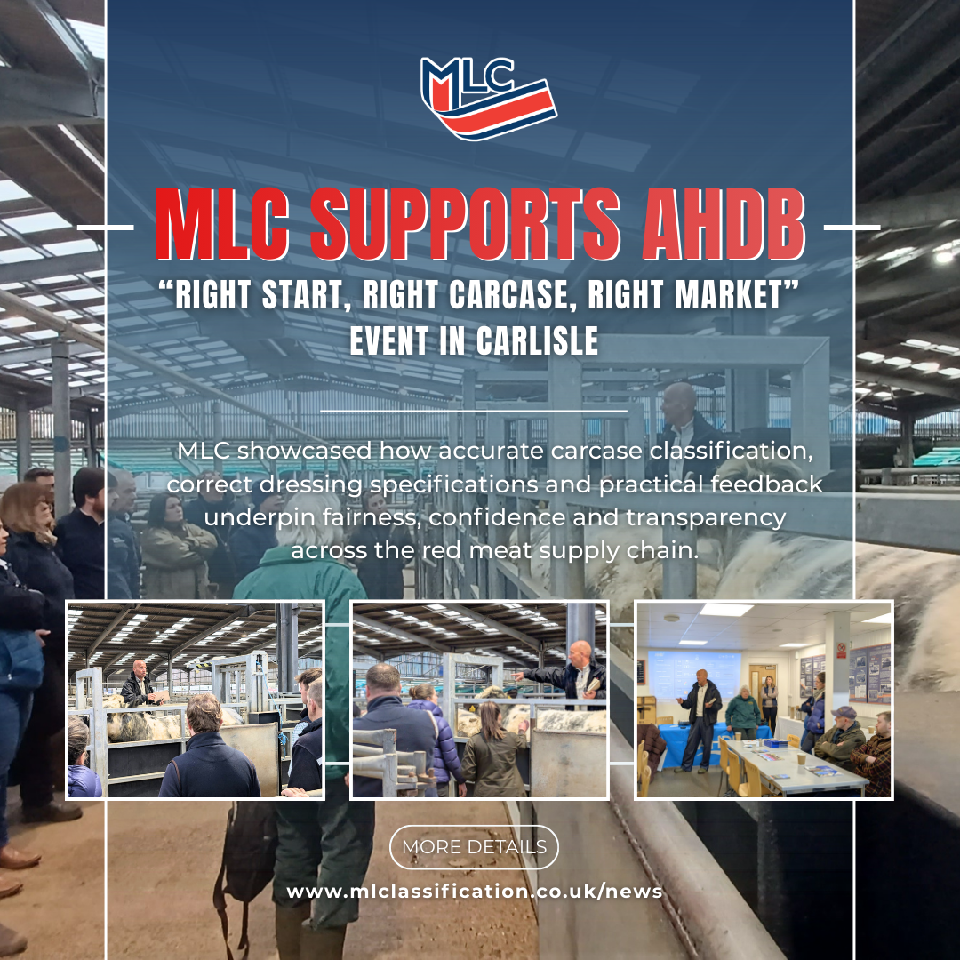 MLC Supports AHDB “Right Start, Right Carcase, Right Market” Event in Carlisle