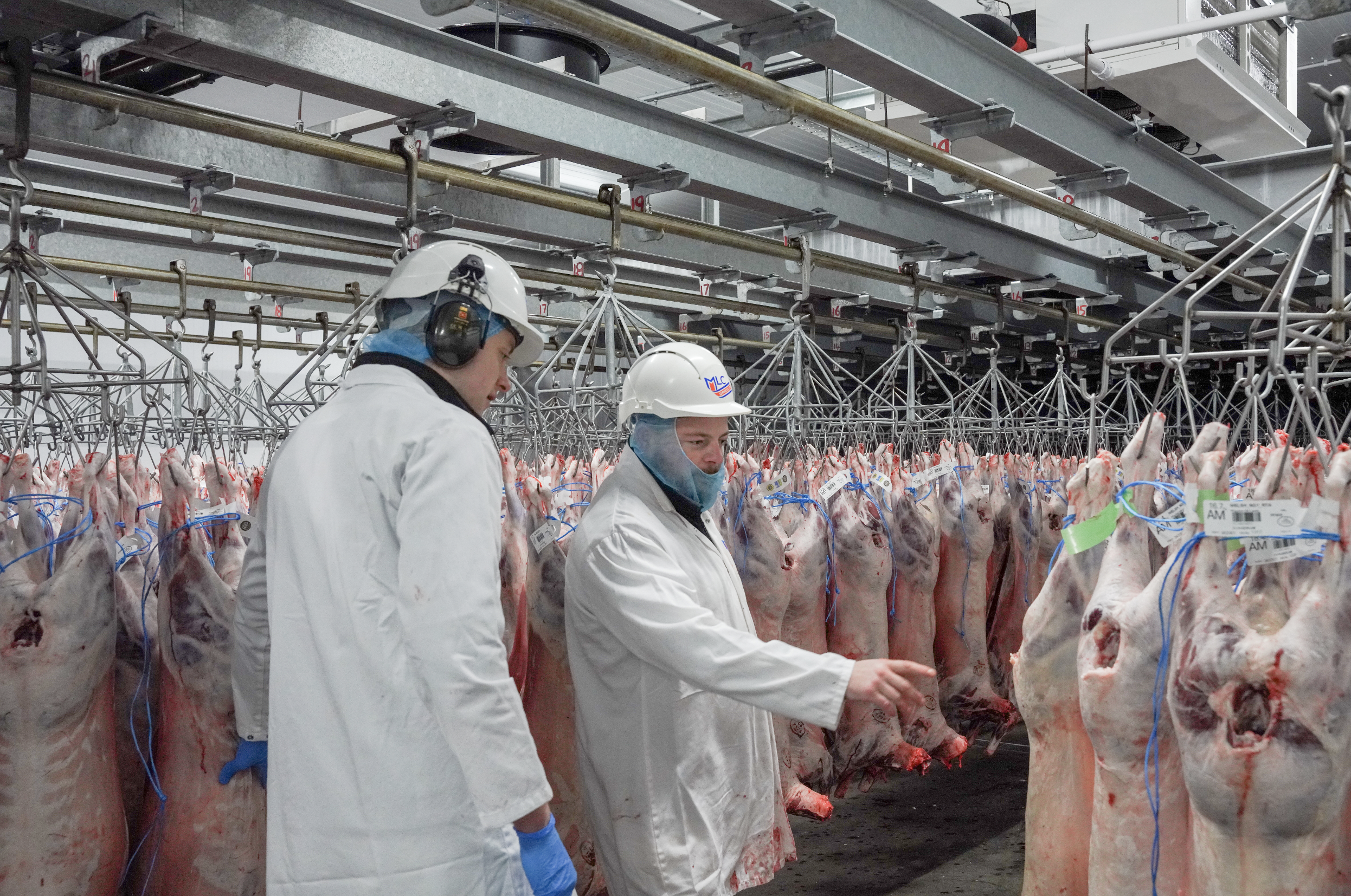 Screenshot 2025-12-09 at 16.19.36.png