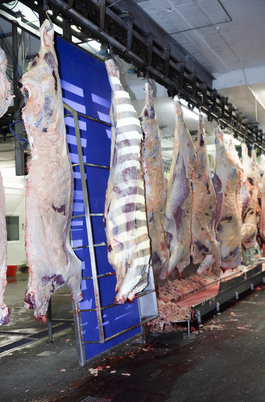 Screenshot 2025-12-15 at 13.15.48.png