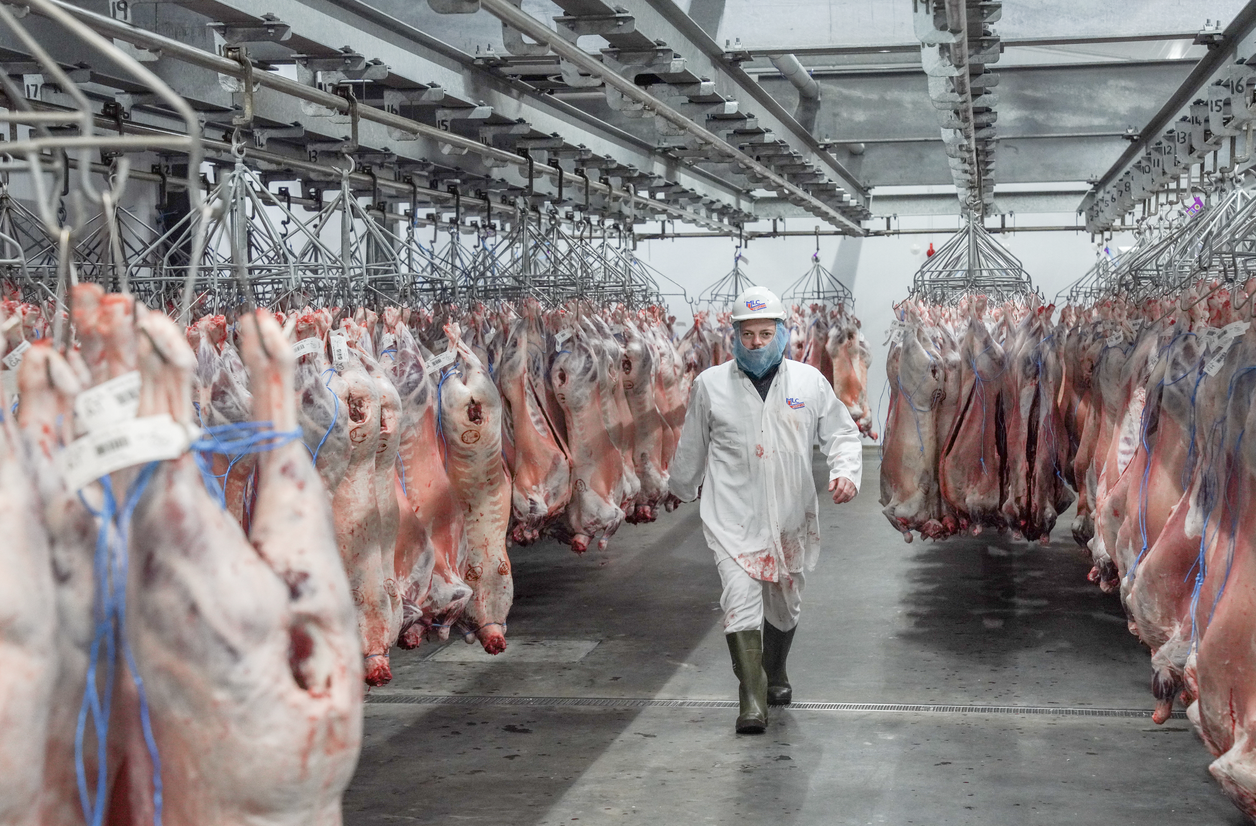 Screenshot 2025-12-09 at 15.34.46.png