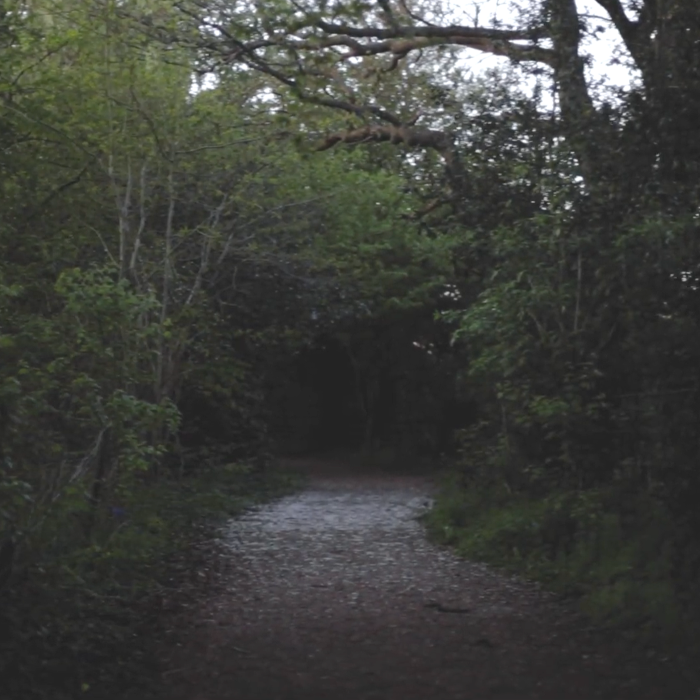 Edge Of Town II