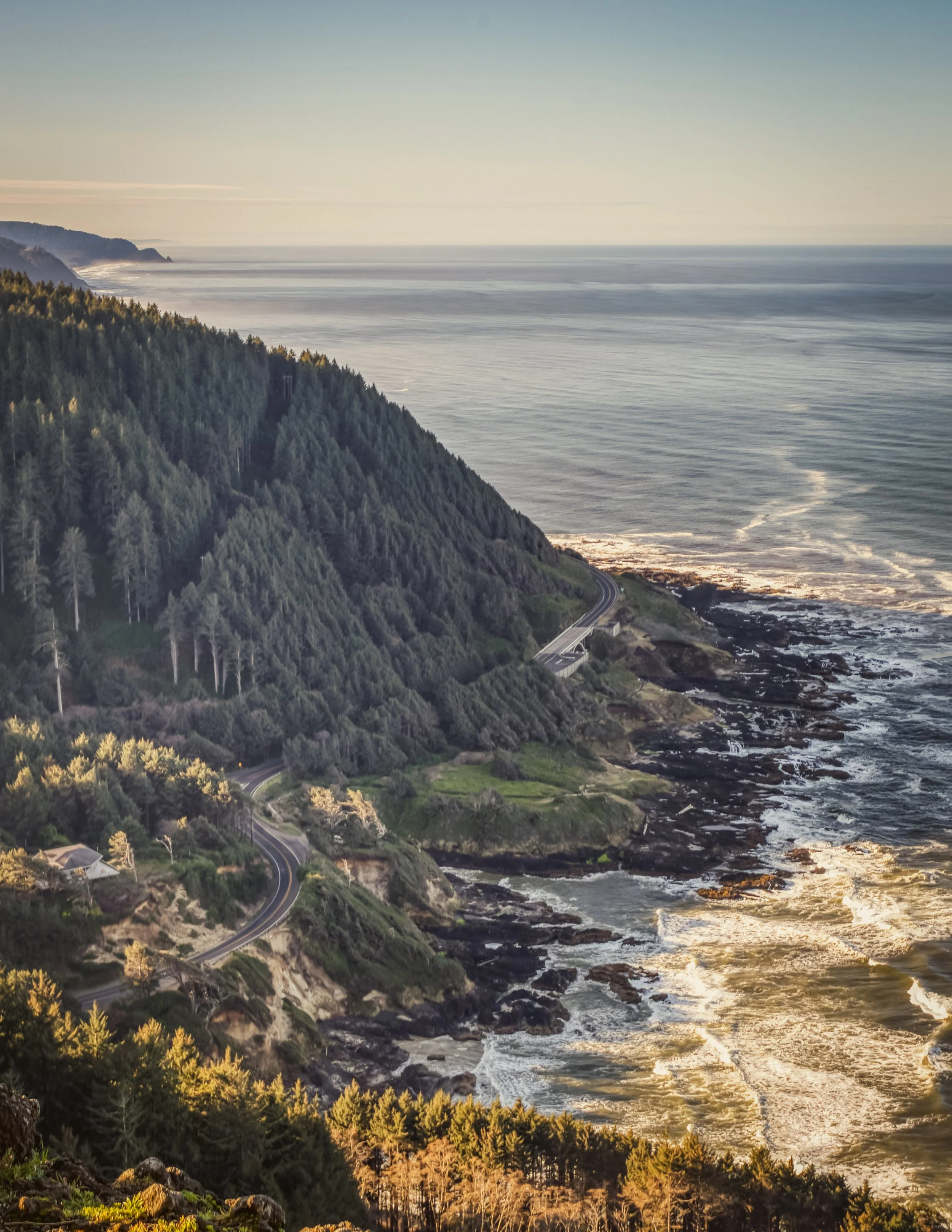 Top of the World-Portrait Golden-2.jpg