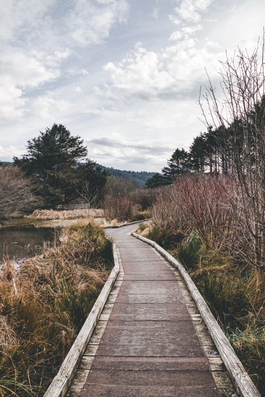 Yachats-144 Large.jpeg