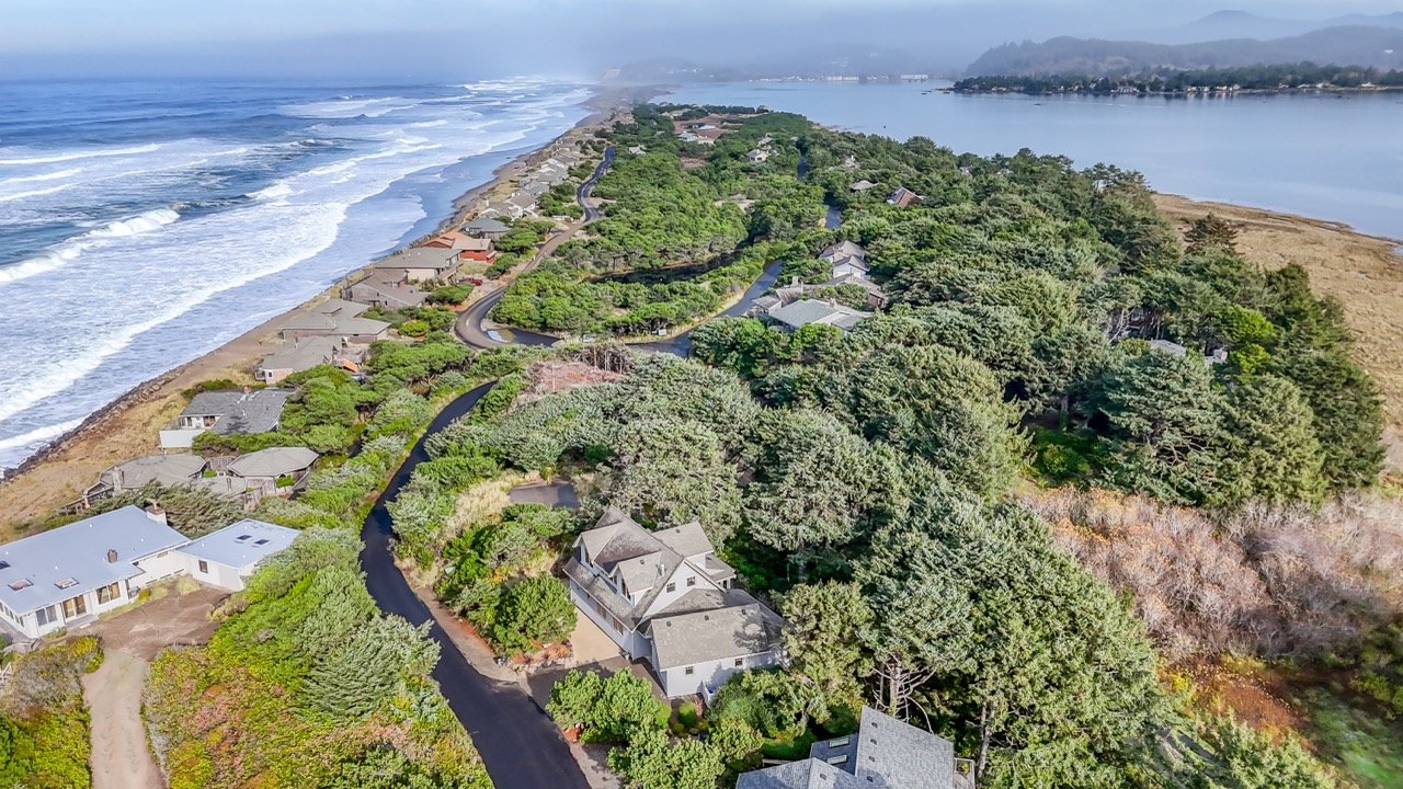 Spouting Whale-101 Large.jpeg