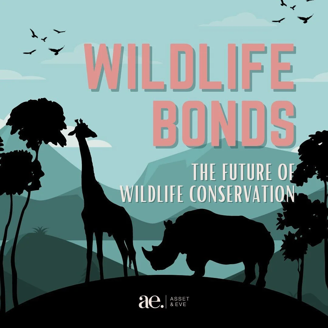 We may soon be able to invest in wildlife conservation! 😱😱😱

The World Bank is preparing to launch wildlife bonds which will use investor money to support the conservation of endangered species (starting with the black rhino). As the species start