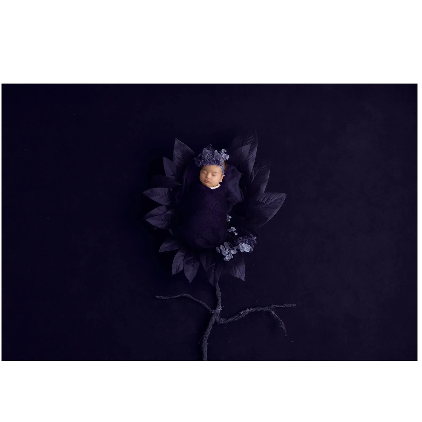 There are images that not only capture a newborn... but celebrate them as a work of art.

This family returned to the studio, this time to honor the arrival of their little girl. We had already shared a beautiful 