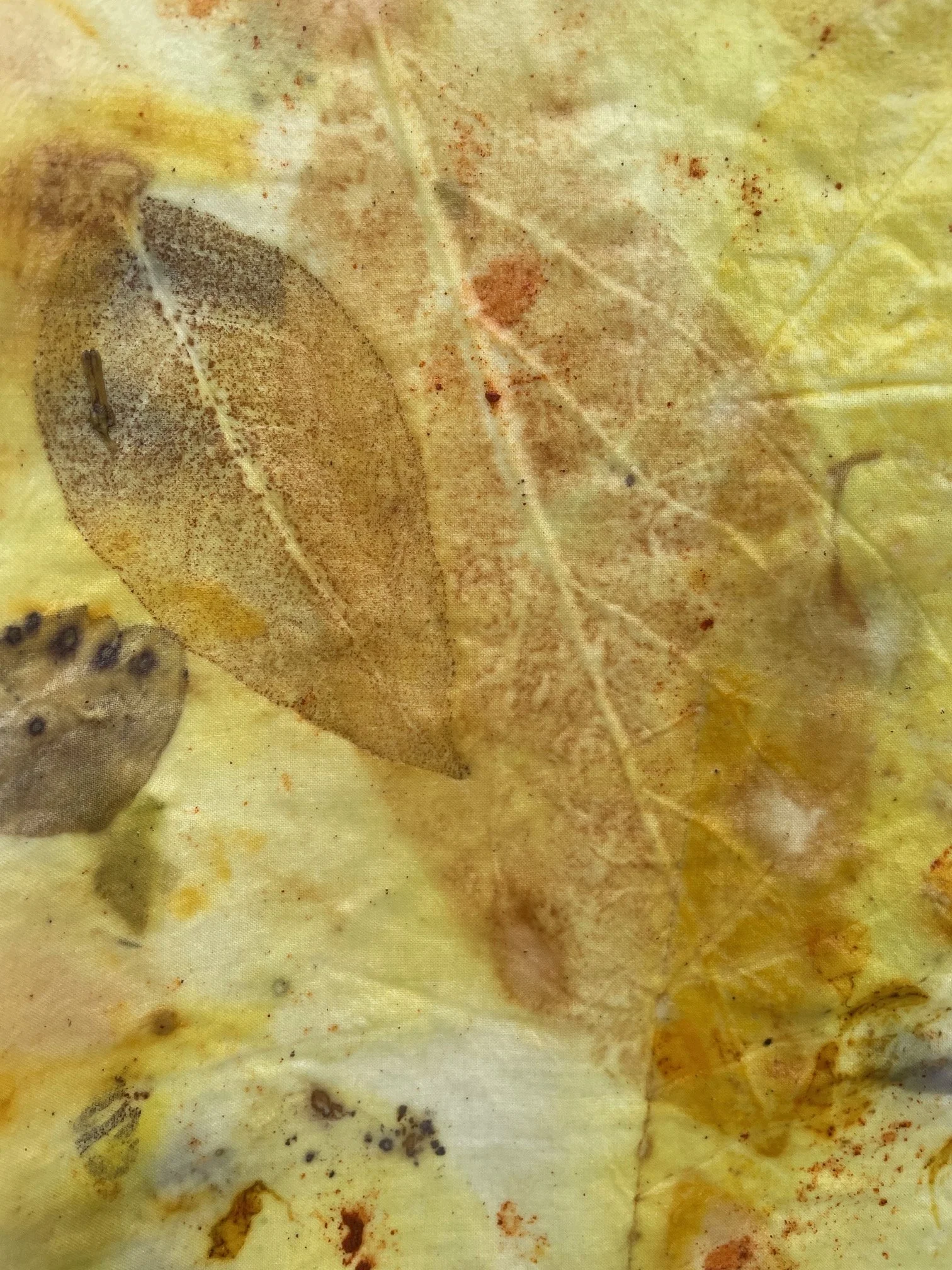 Autumn Eco Printing Workshop by Gabi from Buenezas