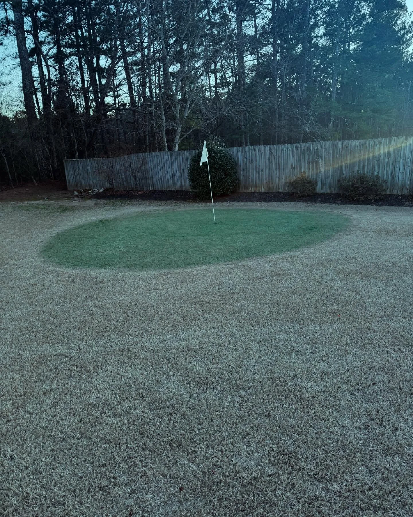 #twoguysandamower  #TGAM  #lawndye  #pga  #puttinggreen  #reelmowing