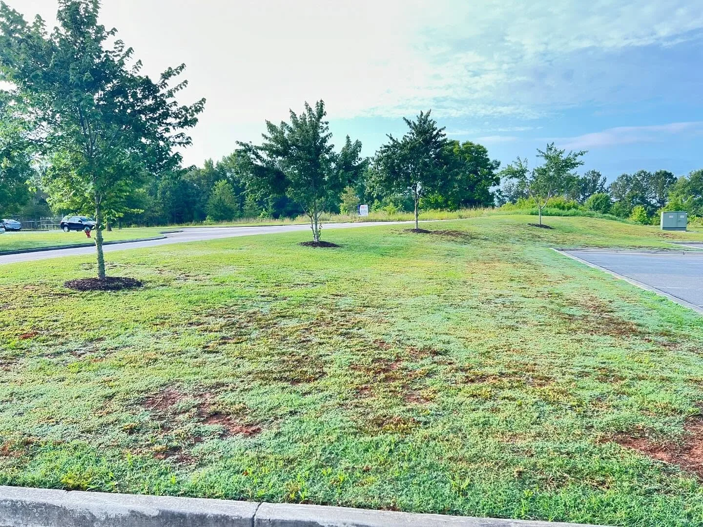 #twoguysandamower #tgam #lawnmaintenance #lawncare #lawnfertilization #aeration #topdressing #fullservice #16weekstransformation