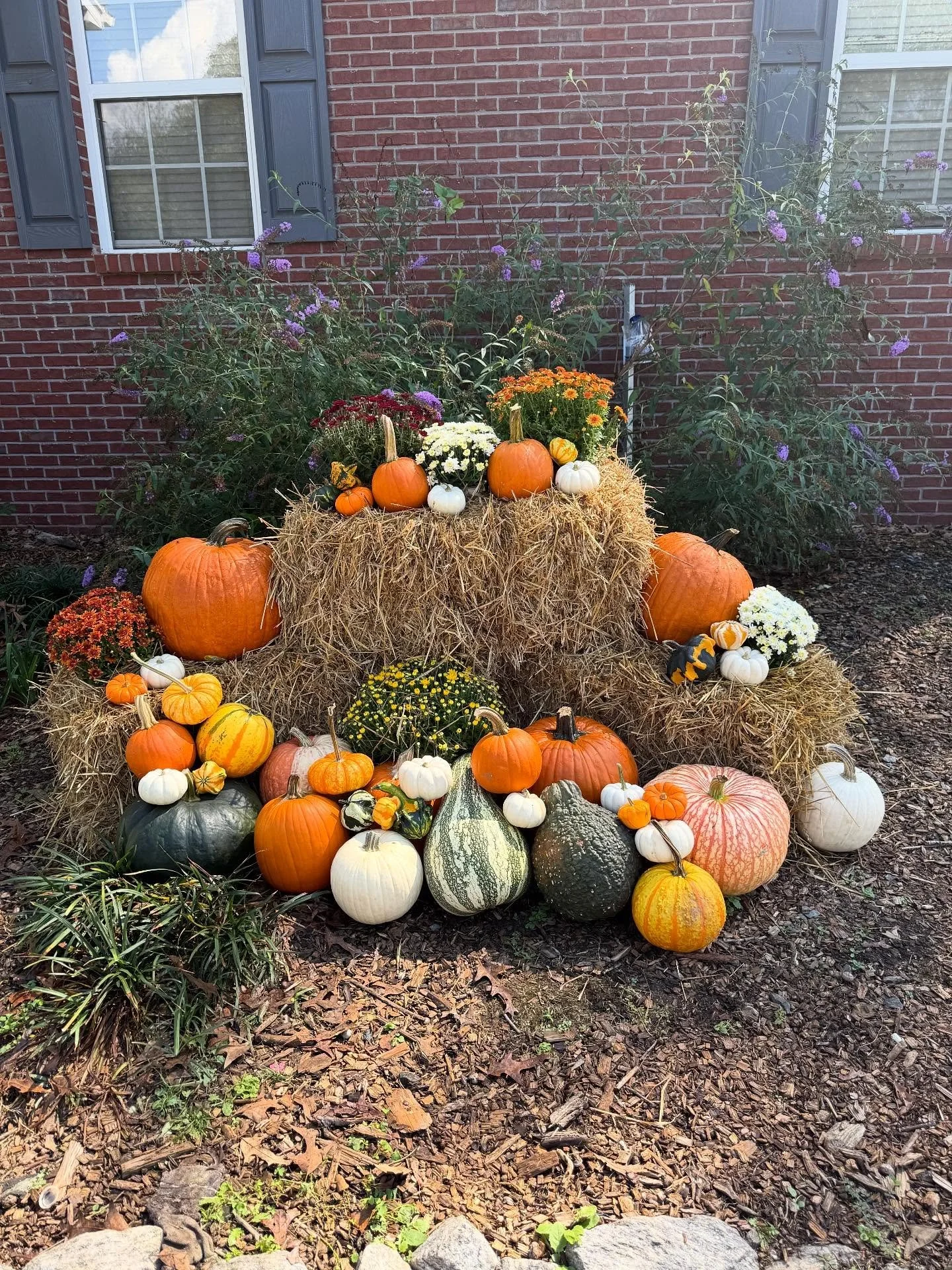 Taking orders for fall pumpkins displays! Add straw bales and mums for an added color burst! #twoguysandamower #pumpkindecor #falldecor #autumn #harvestdecor #landscapemanagement #gwinnett #georgia
