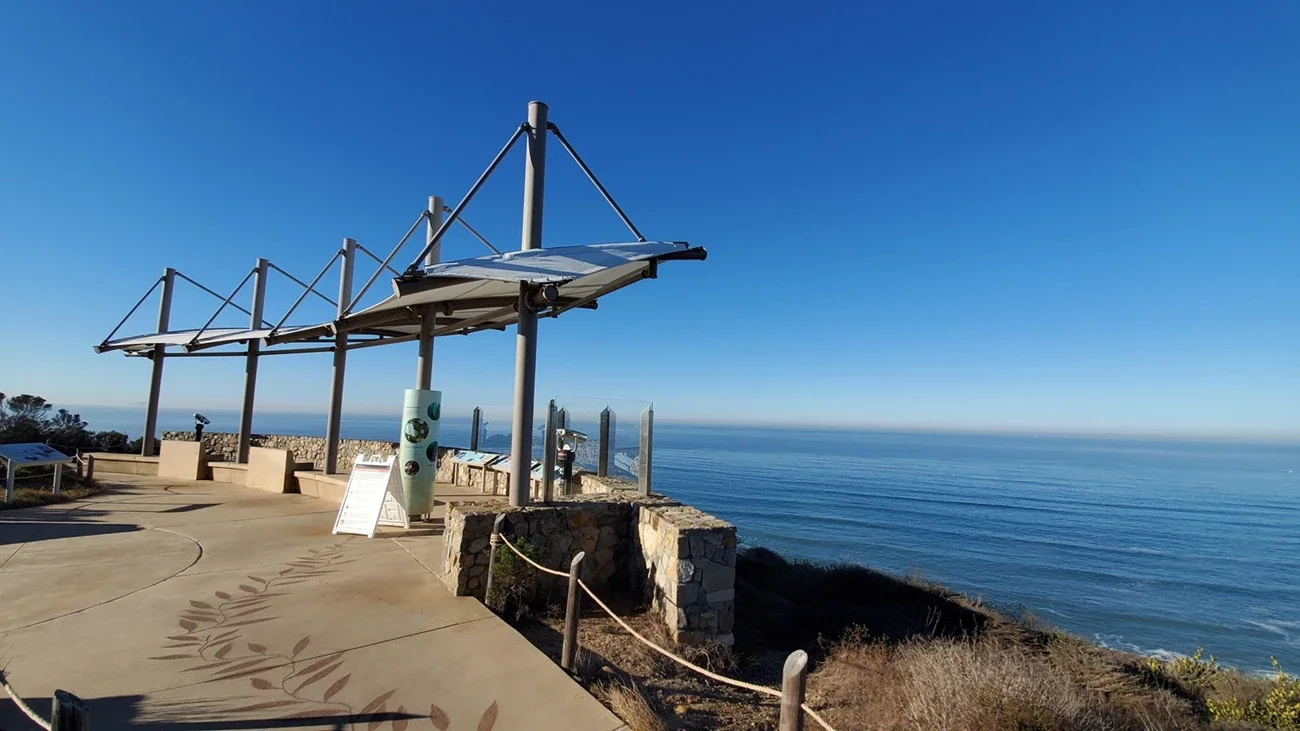 A Winter Guide to Gray Whale Watching at Cabrillo National Monument