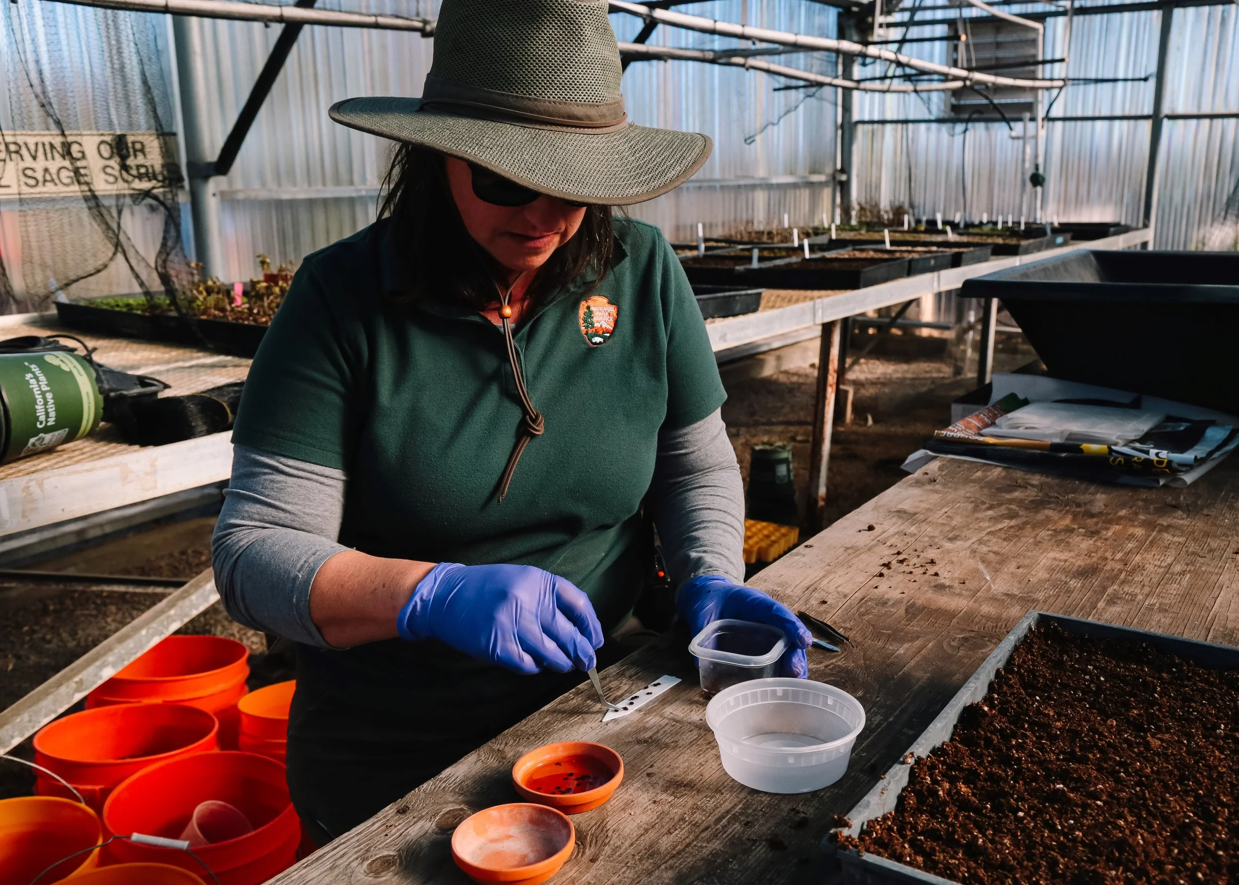 Member Exclusive: Behind-the-Scenes Tour of Cabrillo's﻿ Native Plant Greenhouse