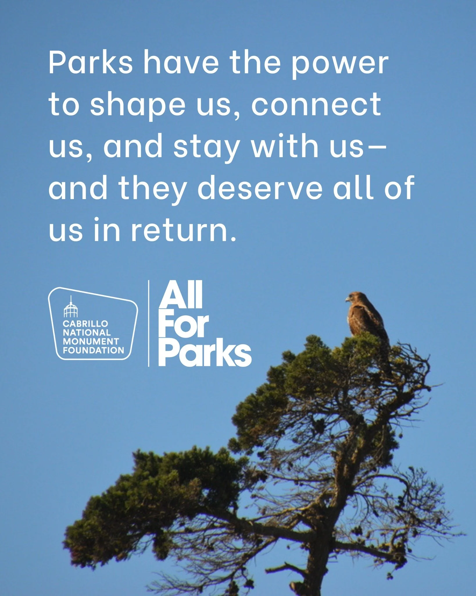 "Leading the Cabrillo National Monument Foundation is deeply personal to me, but it is also a profound responsibility.

It means caring for a place that has shaped my own life while helping ensure it remains meaningful for others. It means honor