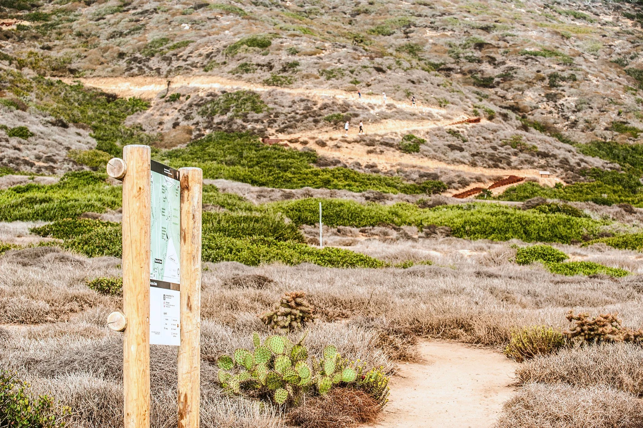 Today, we&rsquo;re celebrating two years of the Oceanside Trail! 🥾

On April 24, 2024, Cabrillo's Oceanside Trail was opened to the public after years of planning, fundraising, and construction. As CNMF&rsquo;s first major capital project, this trai