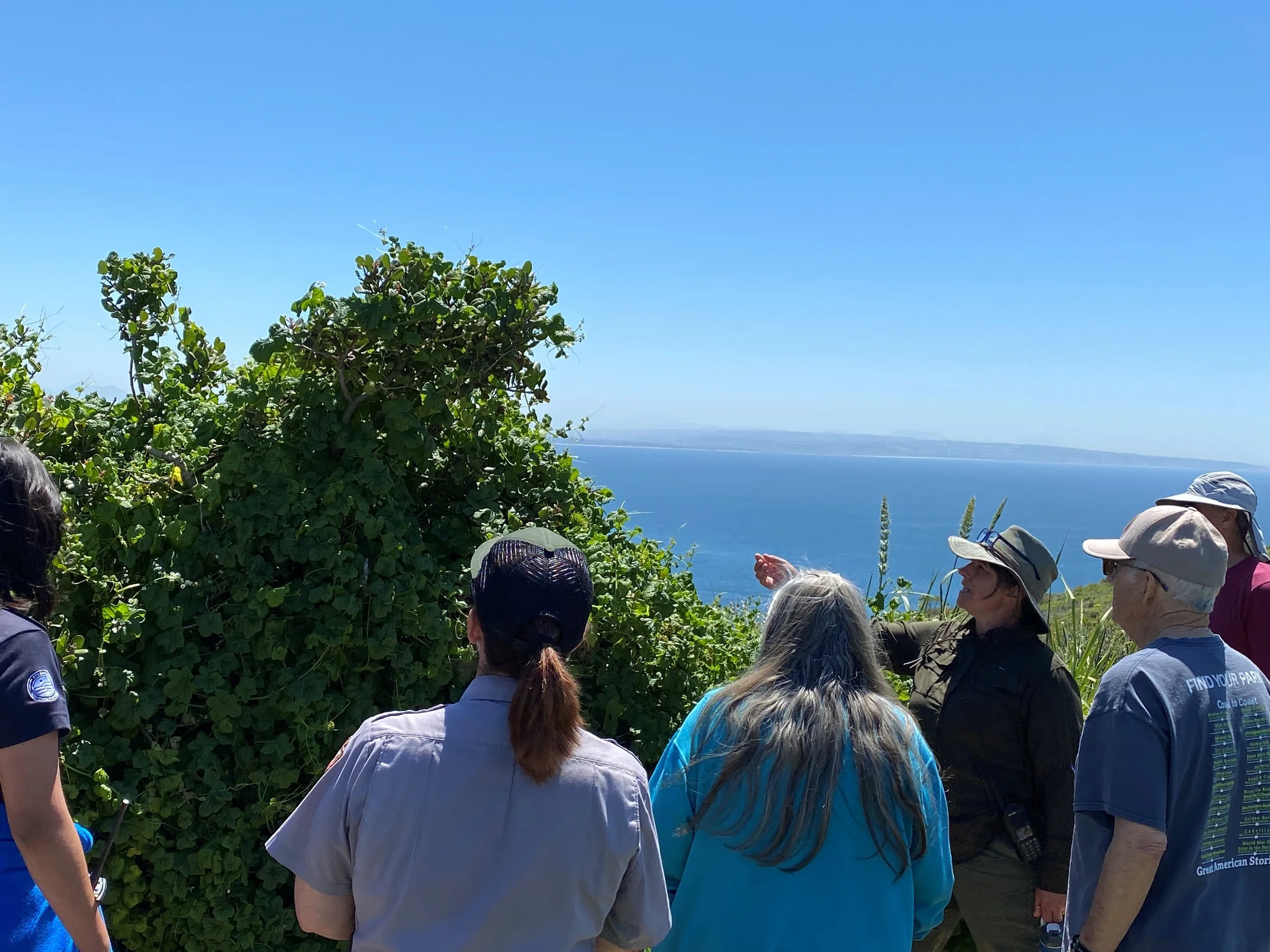 Member Exclusive Walk &amp; Talk: Native Bees of Cabrillo National Monument with Local Expert, Patricia Simpson