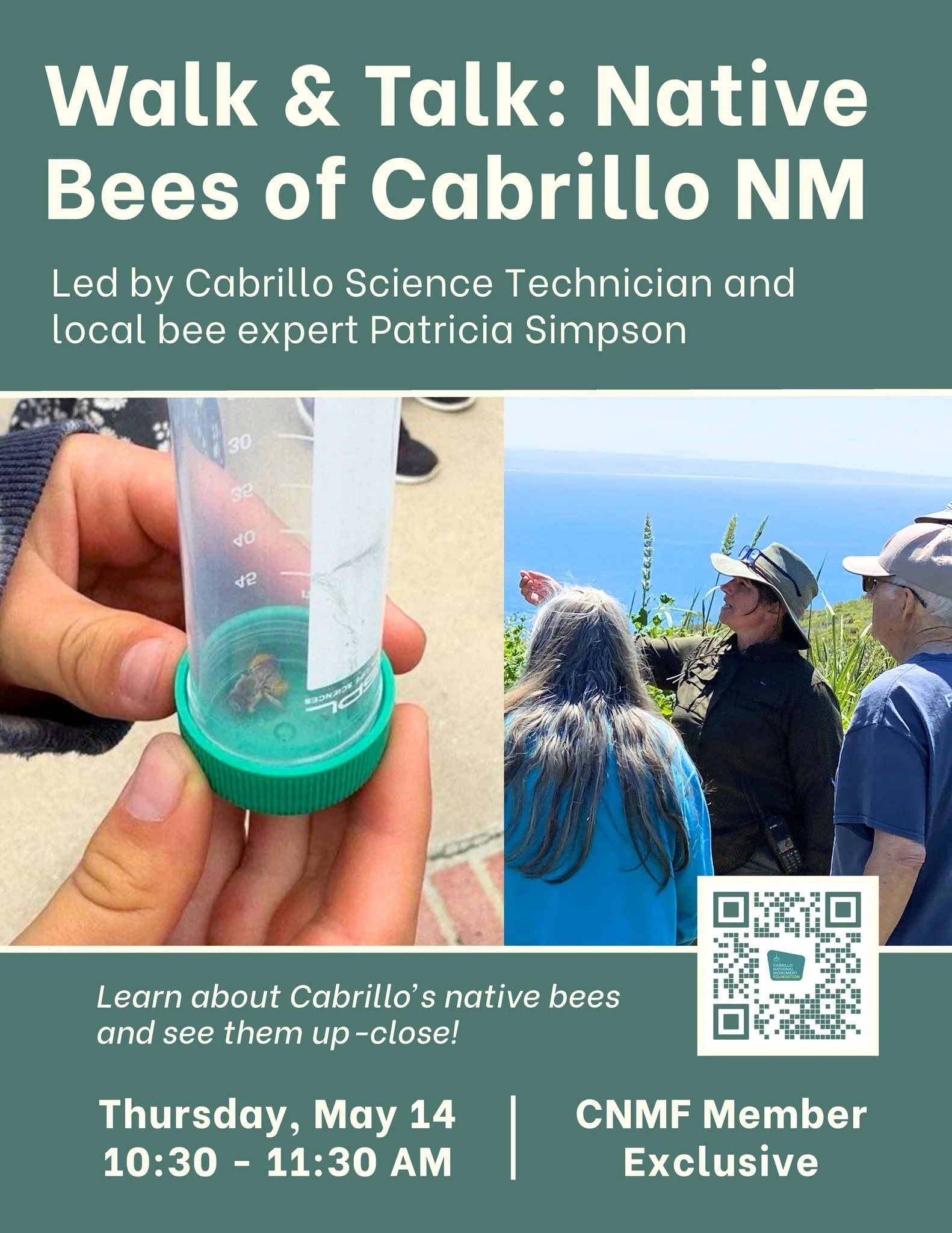 Discover the native bees of Cabrillo during this Member Exclusive Walk &amp; Talk led by Park Science Technician and local bee expert Patricia Simpson. 🐝🌾

There are approximately 3,600 species of native bees in North America, and more than 700 of 