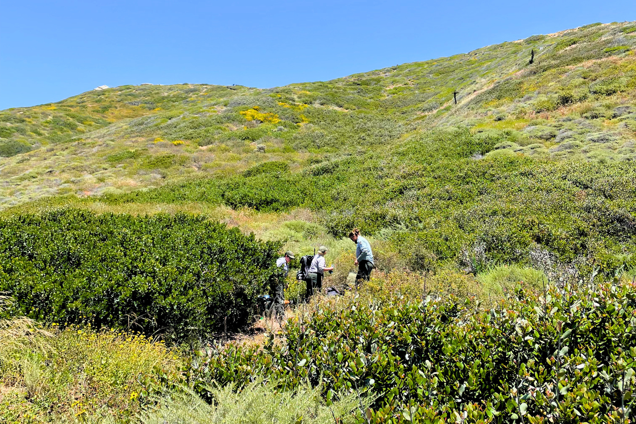Hikers on the Oceanside Trail.