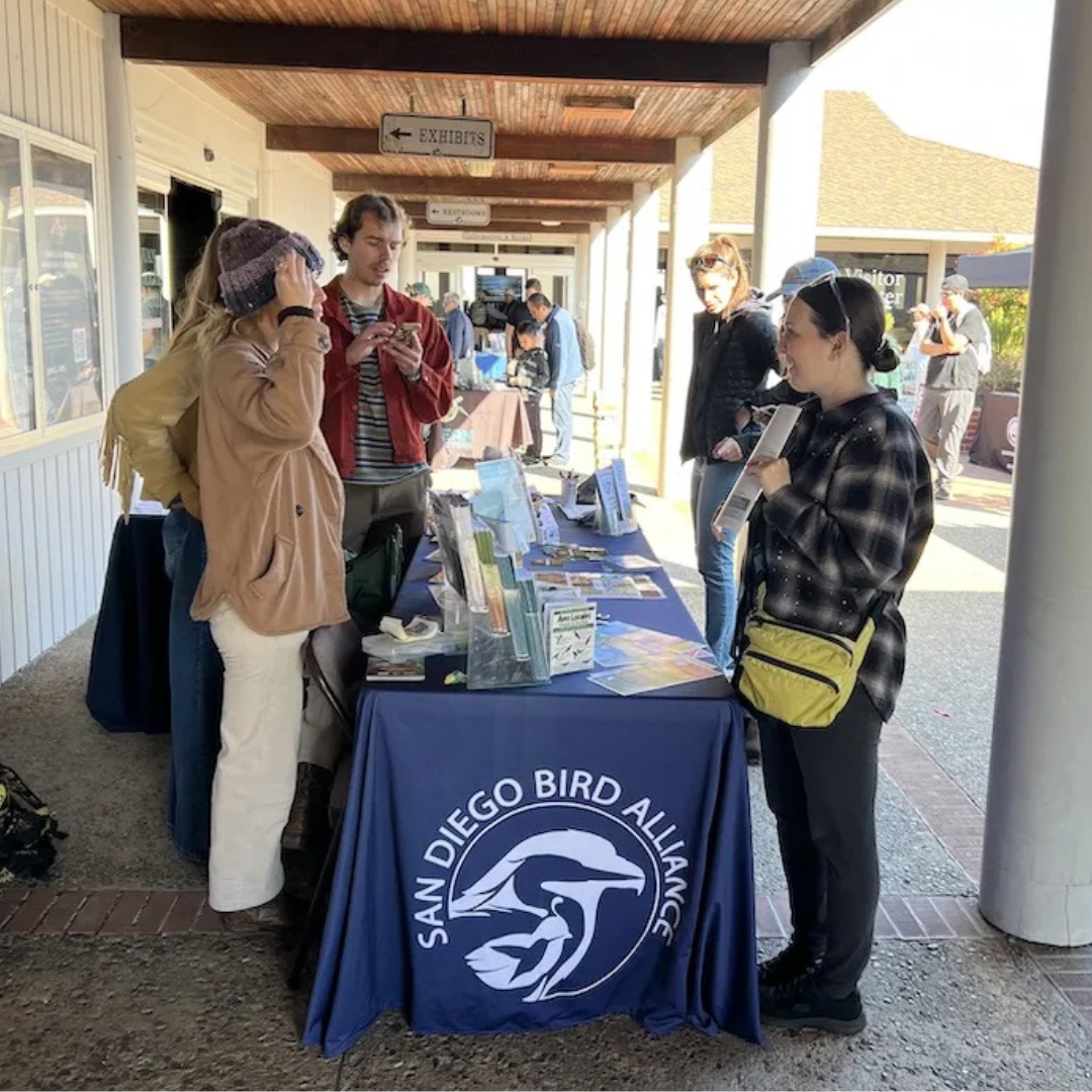 Cabrillo National Monument Events