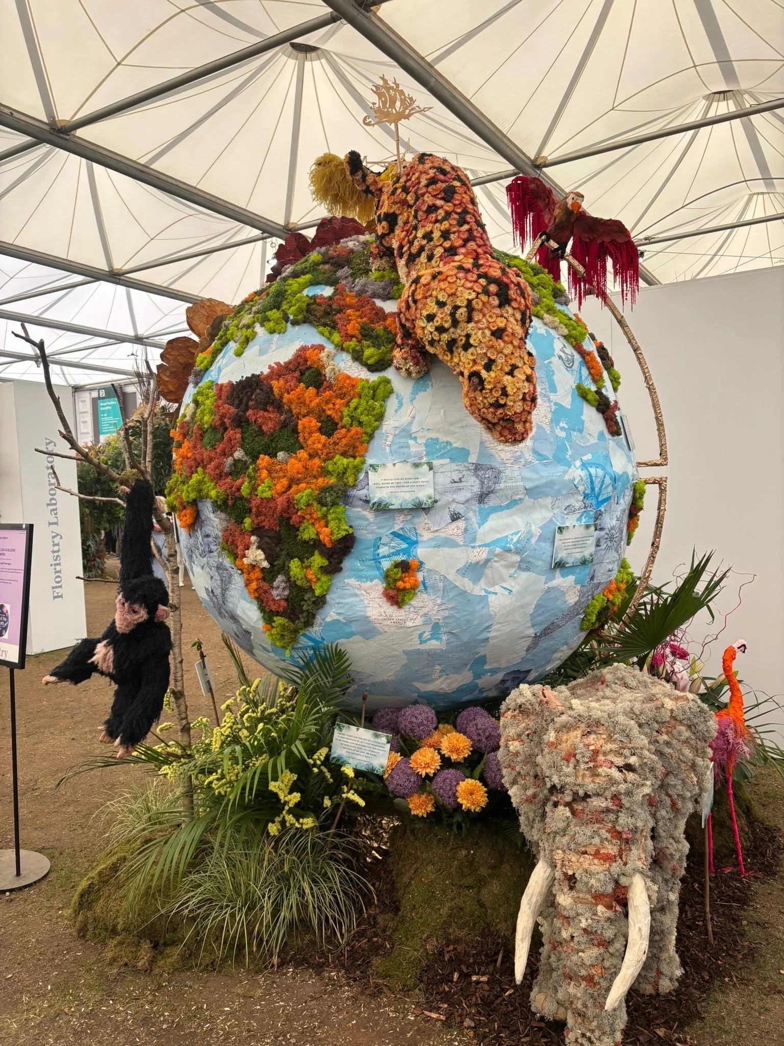Gardens with purpose: Reflections from the RHS Chelsea Flower Show&nbsp;