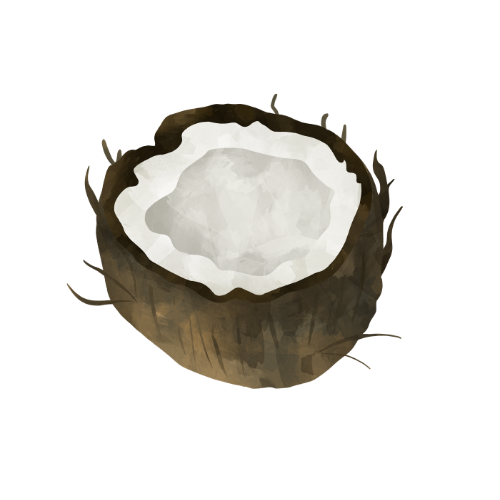 sandbar-beachside-hospitality-events