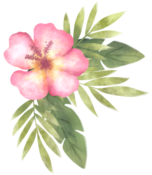 contact-beachside-hospitality-events