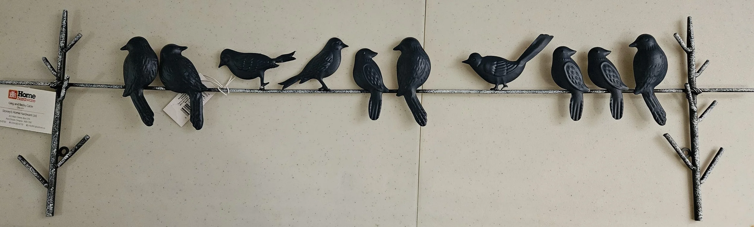 birds on a wire.jpg