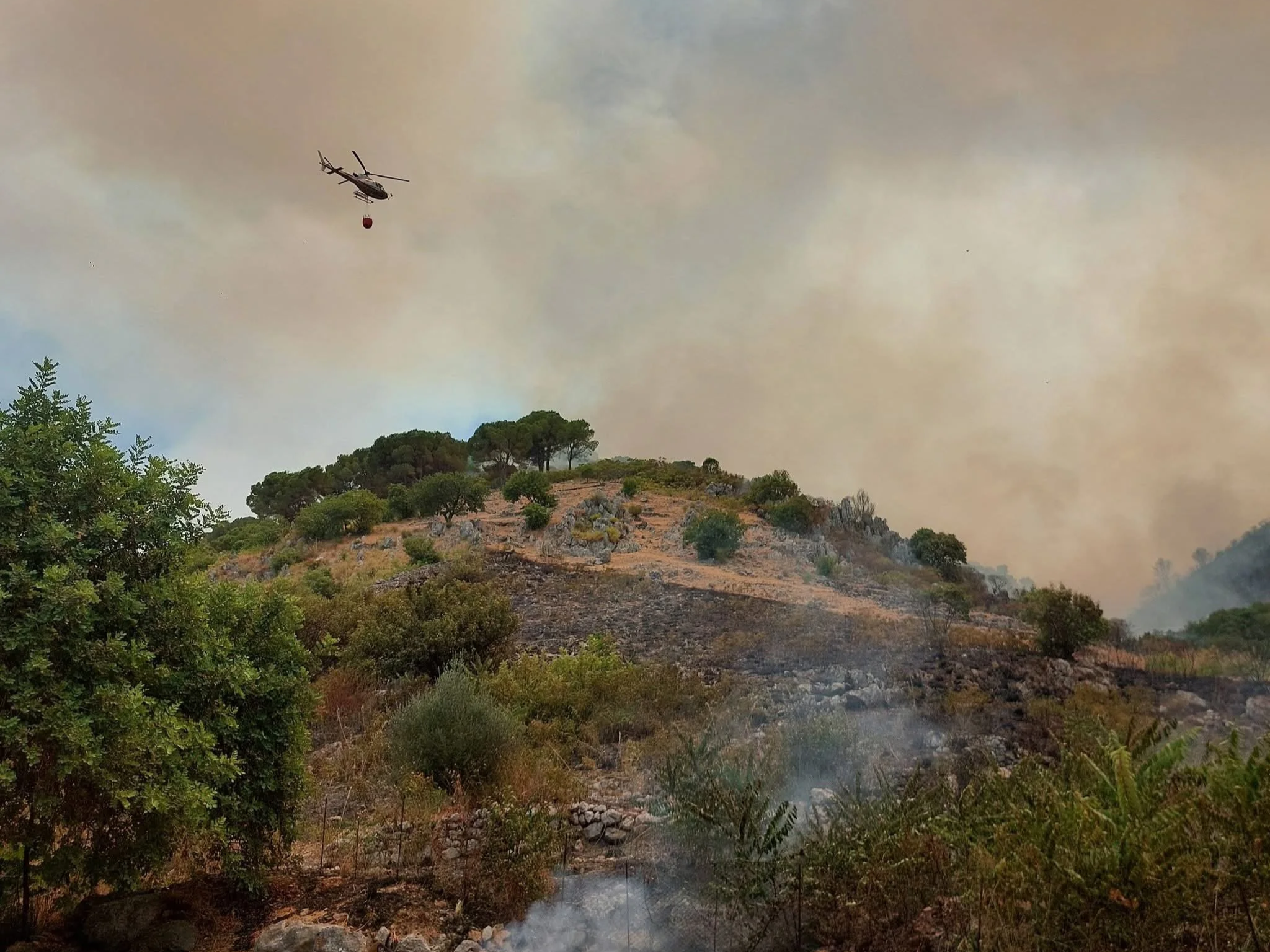 Carini, incendio su Montagna Longa: in azione vigili del fuoco, protezione civile ed elicotteri