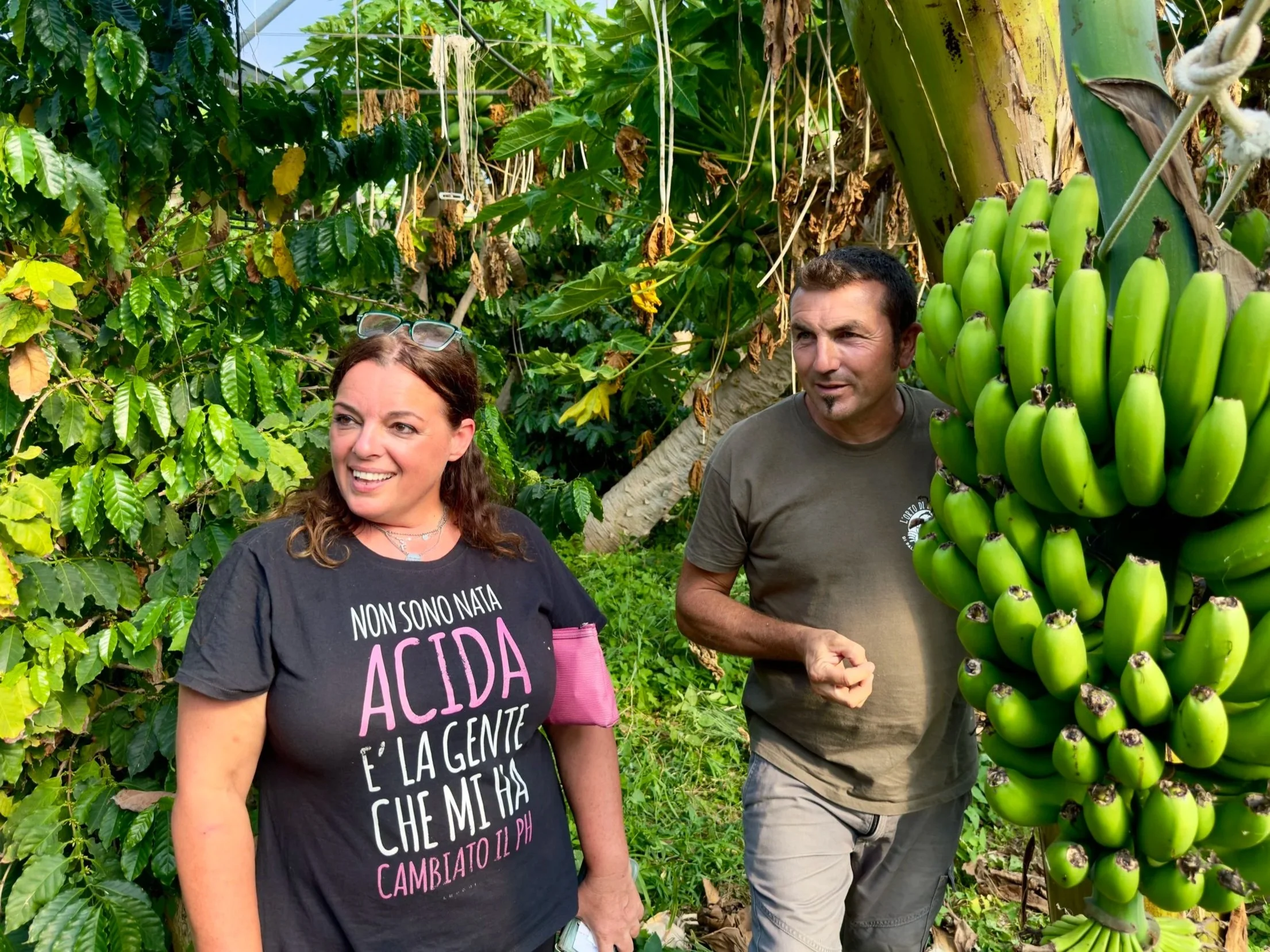 L’Orto di Rosolino: dalla papaya al caffè, coltivazioni tropicali bio in Sicilia