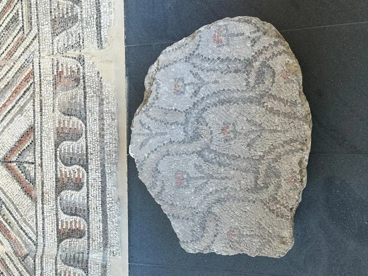 Mosaico Galati, un altro frammento torna a casa: esposto nell’ex chiostro di San Rocco a Carini