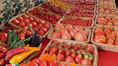 Terrasini, torna la Festa del Pomodoro: il programma dell’8 e 9 agosto