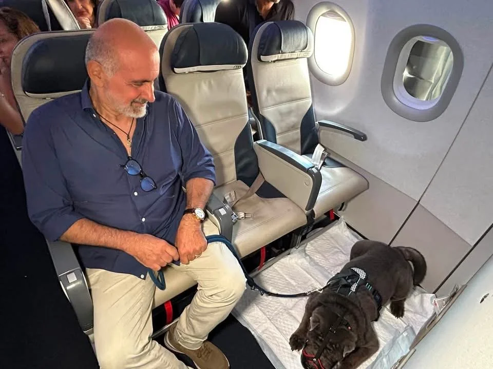 Palermo-Milano, primo volo nazionale per un cane di grossa taglia