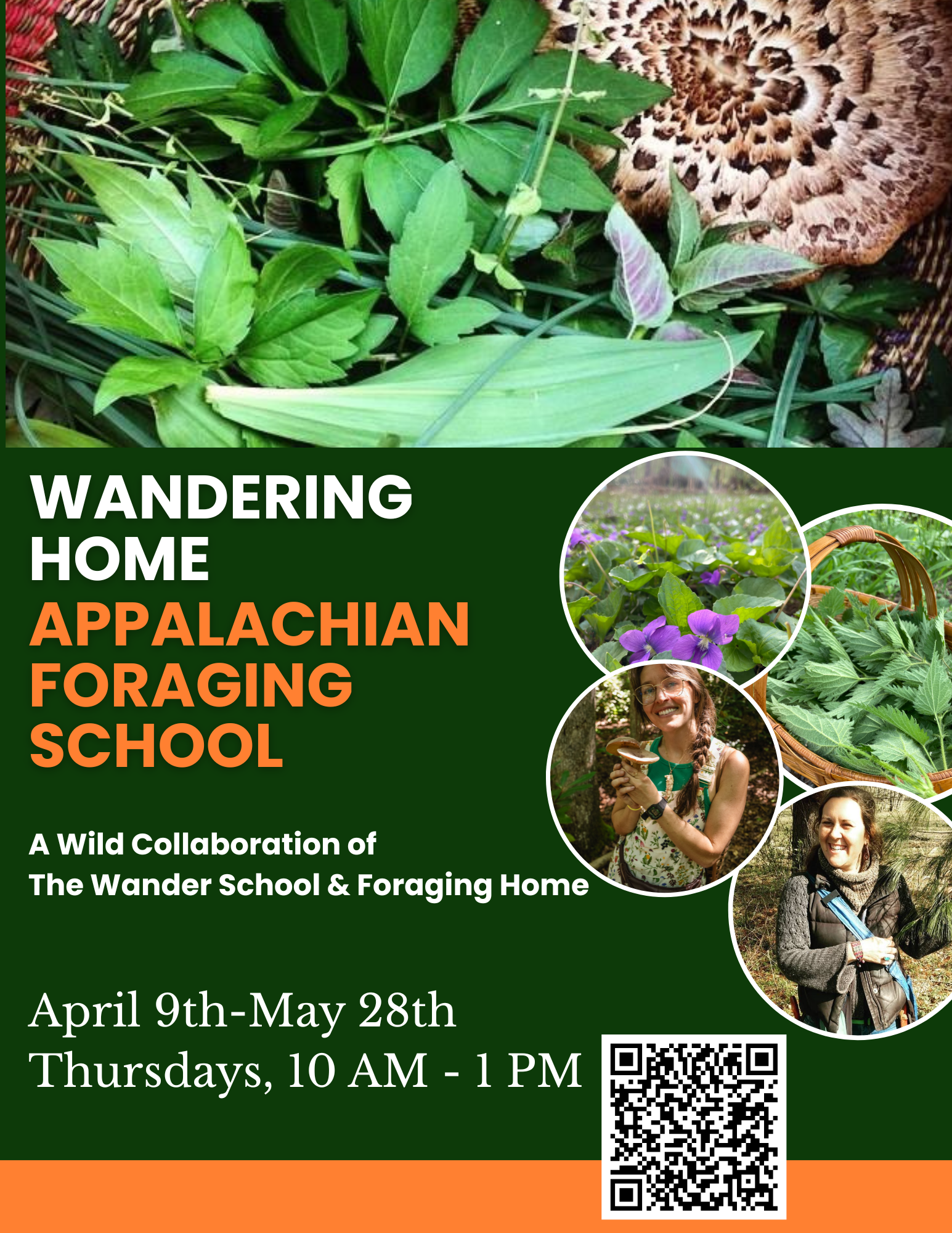 Wandering Home: Appalachian Foraging School (Spring Session)