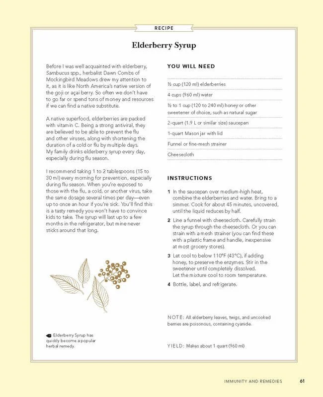 elderberry-syrup-recipe-hhh_orig.jpg