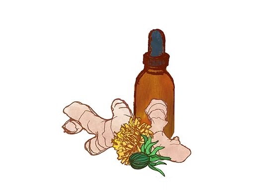 Wild Herb Weekend
