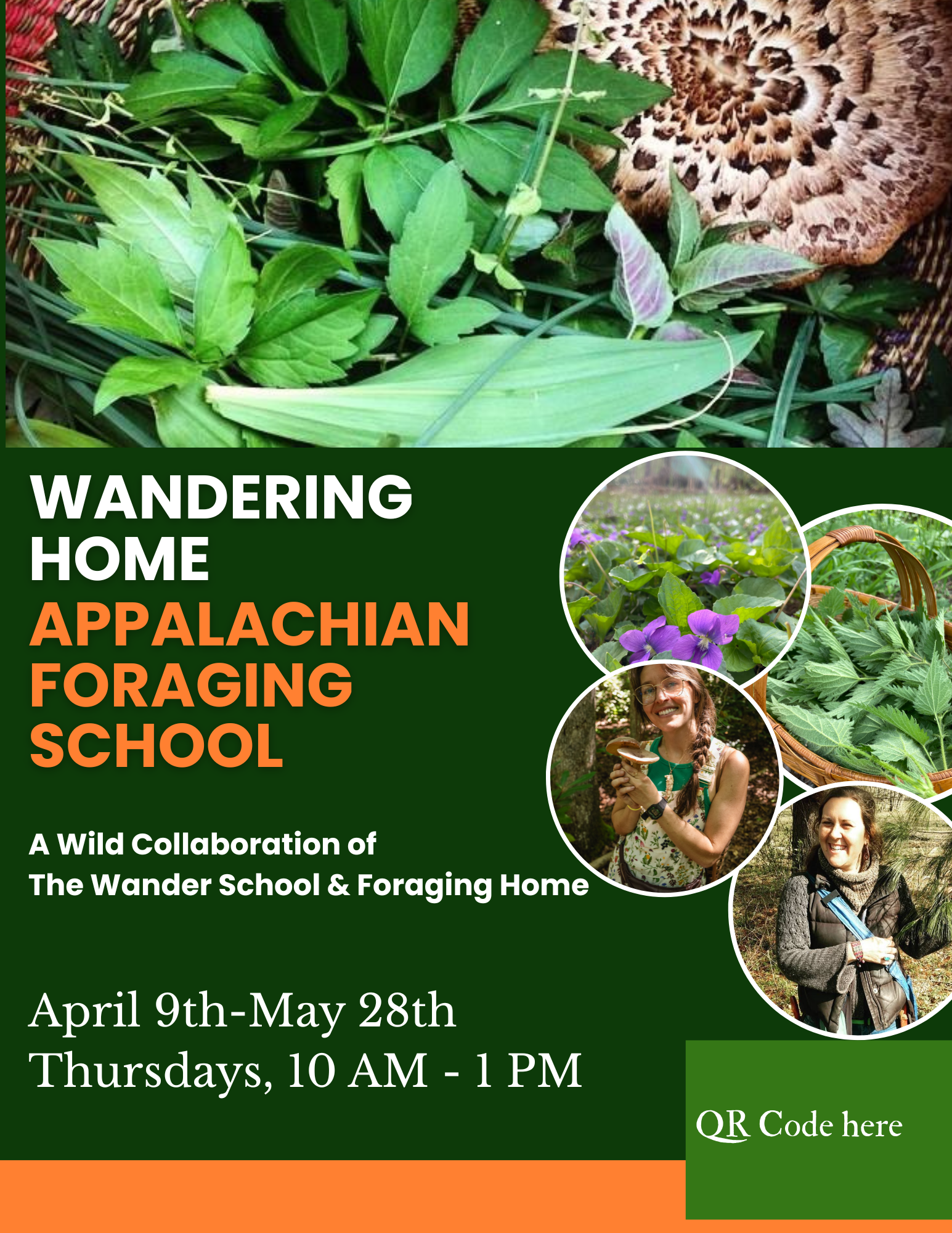 Wandering Home: Appalachian Foraging School (Spring Session