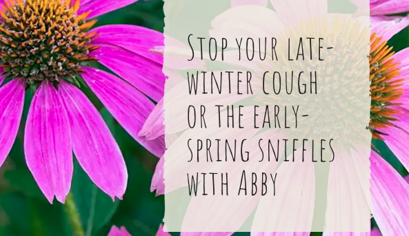 Wild Remedies for Winter Coughs