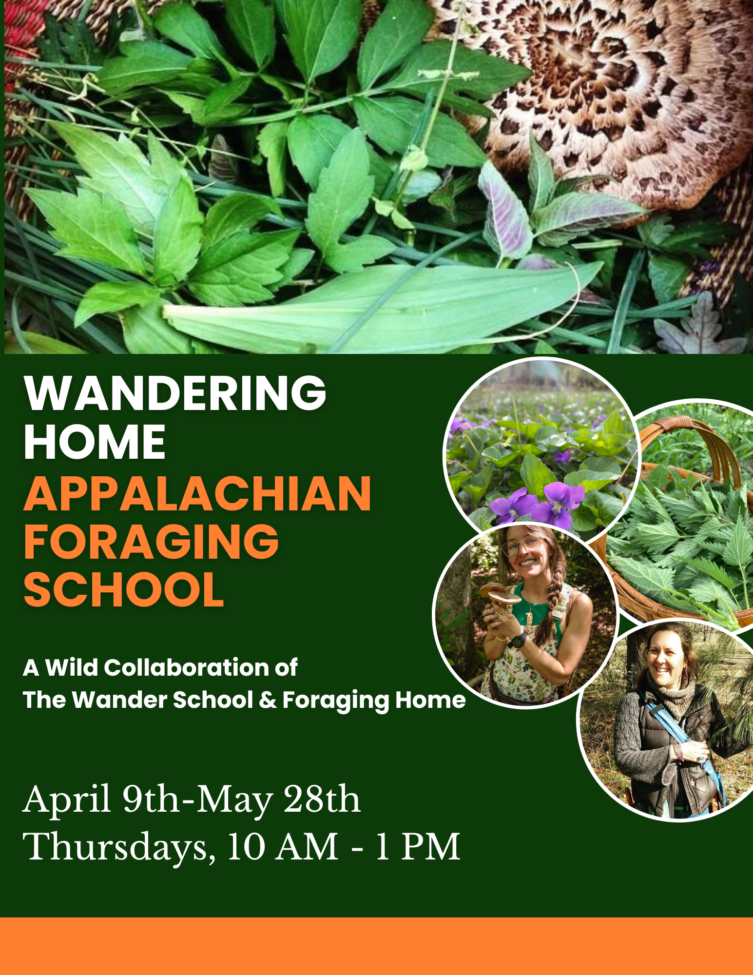 Wandering Home: Appalachian Foraging School (Spring Session)
