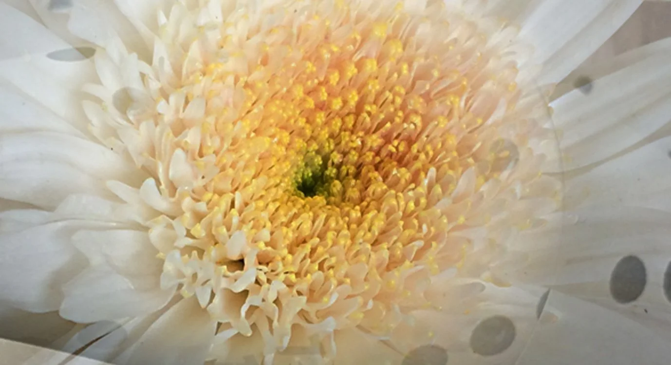 Next Happy Valley Death Café