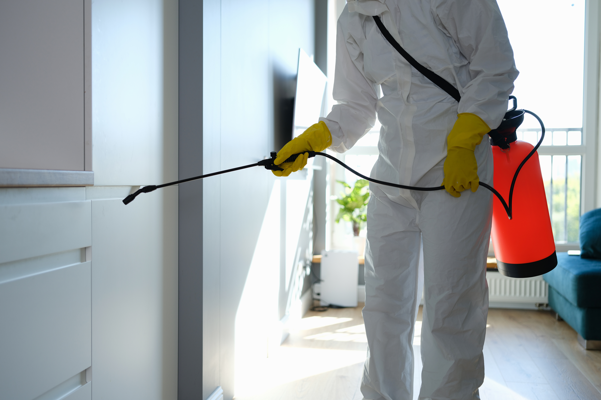 THE IMPORTANCE OF A MOLD INSPECTION BEFORE BUYING A HOME