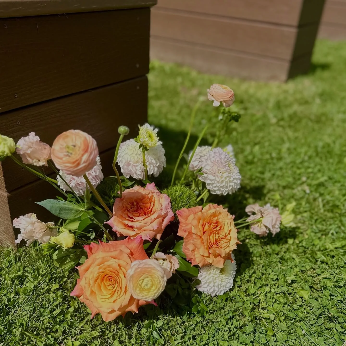 Those free spirit roses😍😍 No reflexing needed on those gorgeous blooms🌸✨ 

.
#davincirose #mkeweddingflorist #chicagoweddingflorist  #brides2026 #brides2027