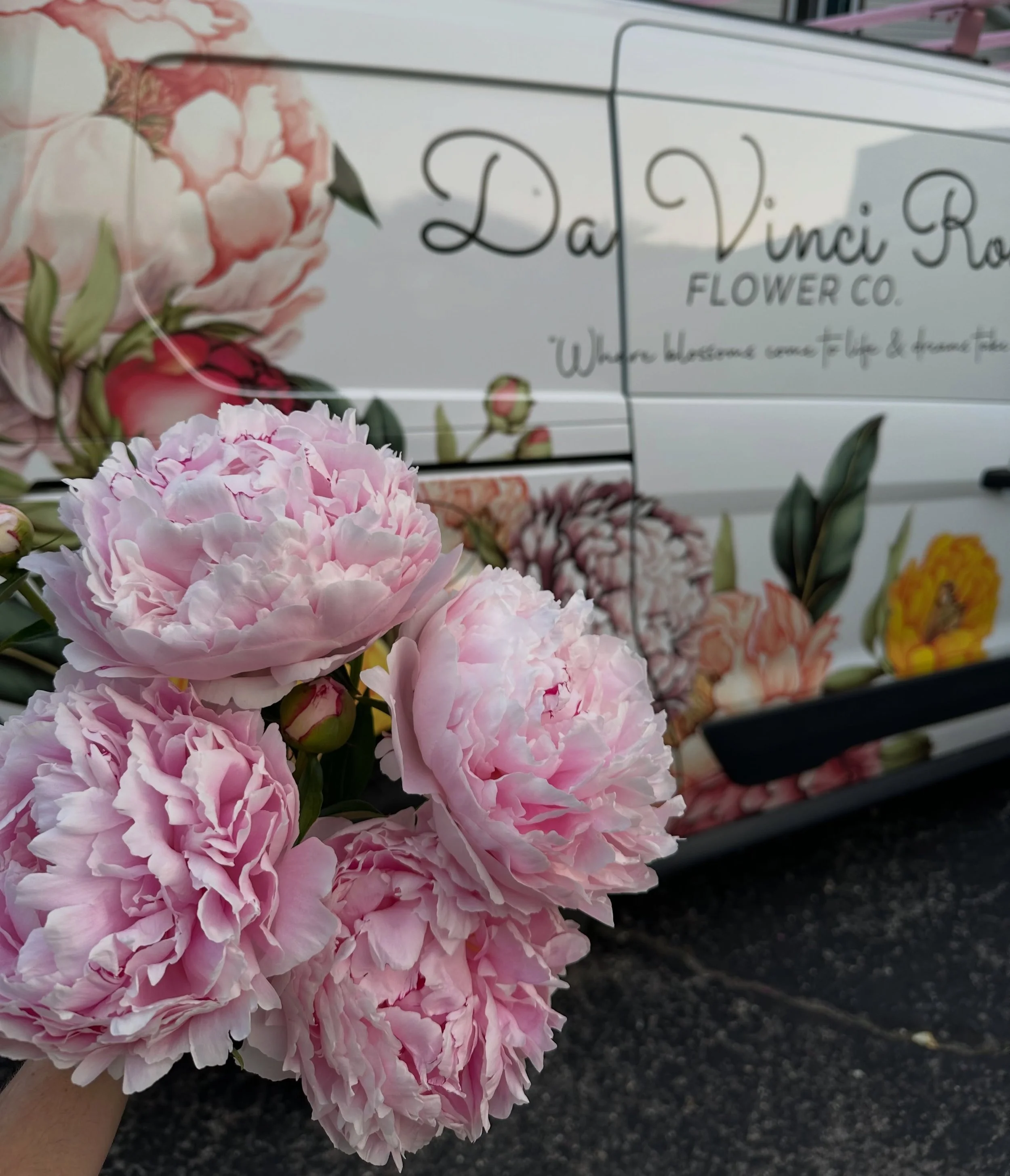 Peony season😍🥰 Featuring my beloved peony covered van🌸🩷

.
#davincirose #mkeweddingflorist #chicagoweddingflorist  #brides2026 #brides2027