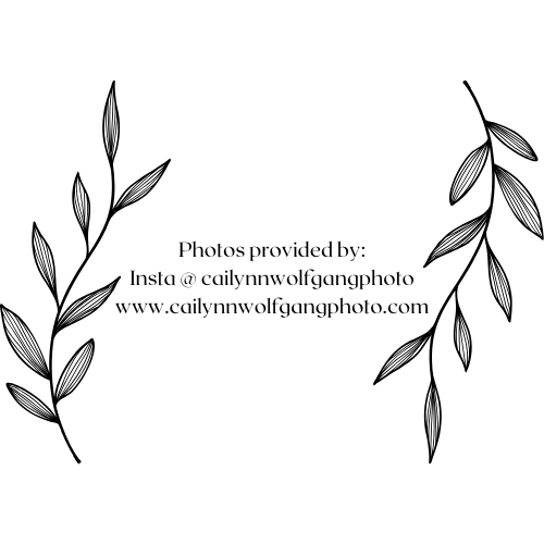 Website stuff (12).png