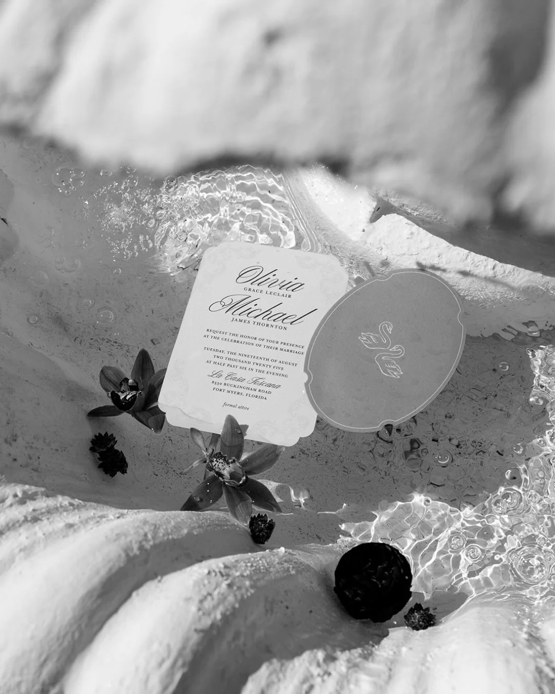 Old-world elegance reimagined: a curated evening of gilded textiles, sculptural details, and custom silhouettes.

Each piece of this invitation suite was shaped with purpose&mdash;from the curved edges to the swan motifs 🦢.

Editorial Design &amp; P