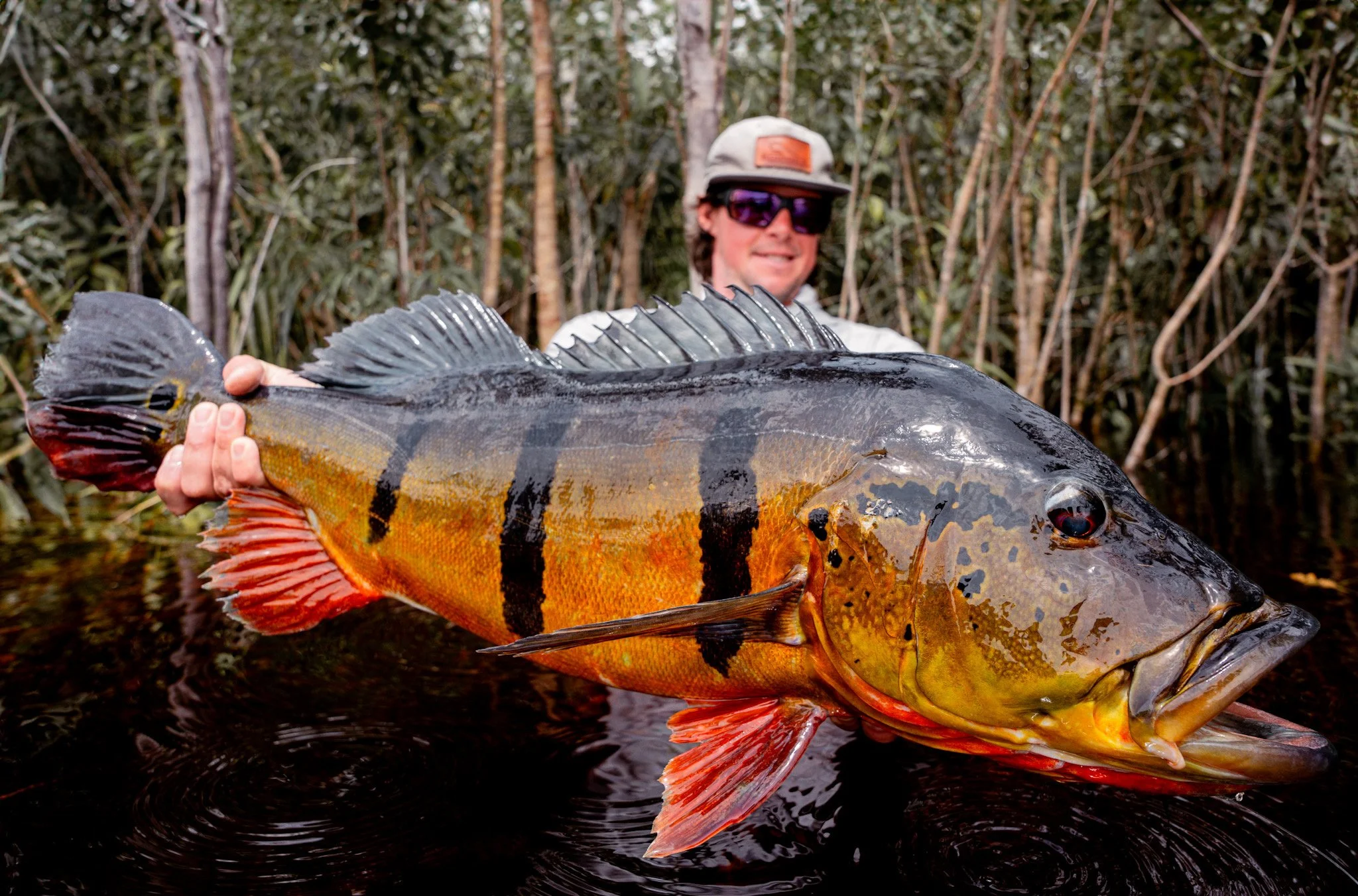 Rio Marie, Brazil October 31 – November 4, 2025