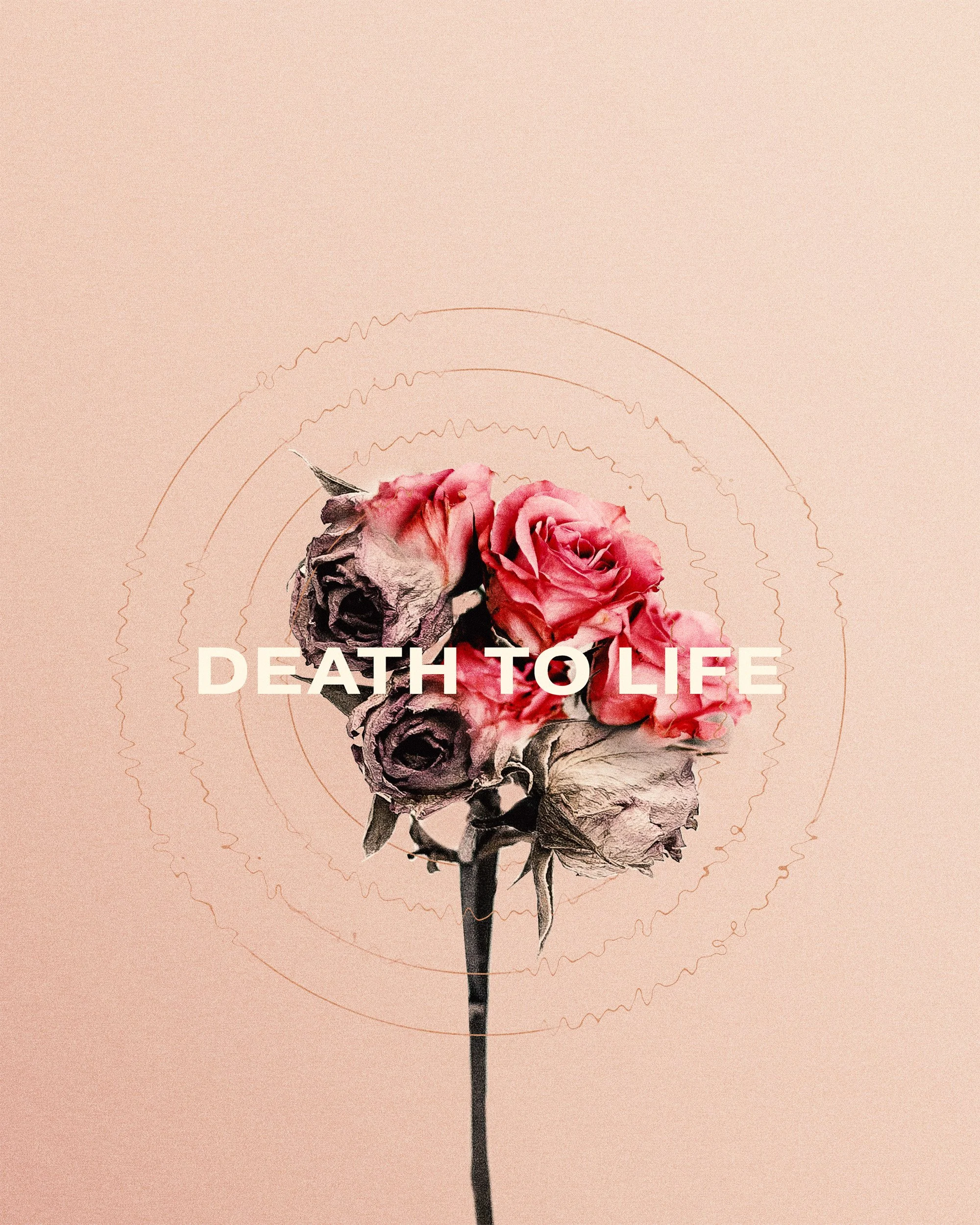 DeathtoLife_SQ.jpg