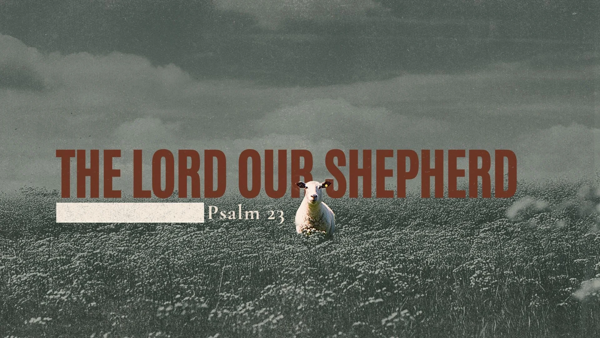 What We Lack, He Provides | Psalm 23:1-3