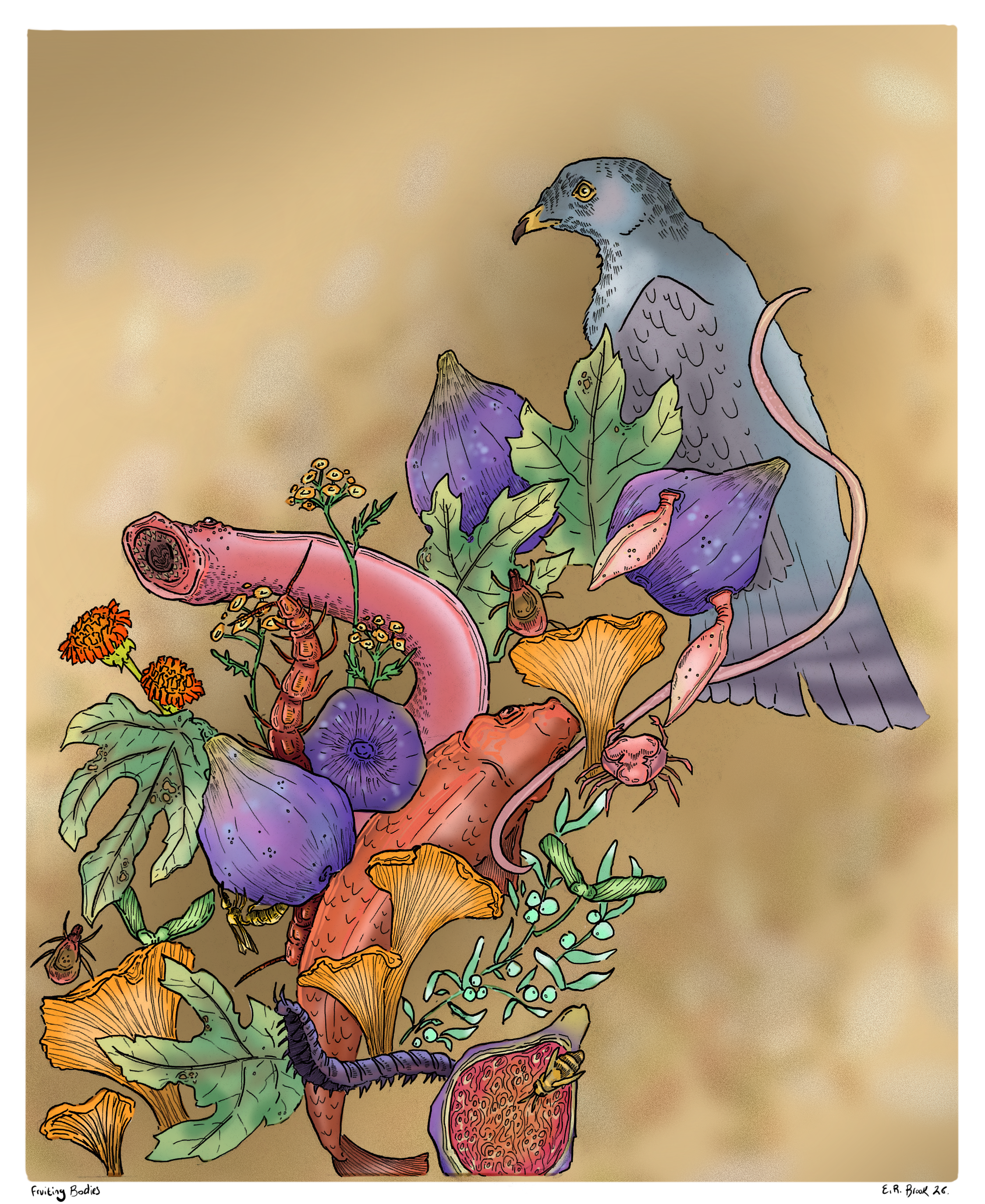 “Fruiting Bodies’ 2026