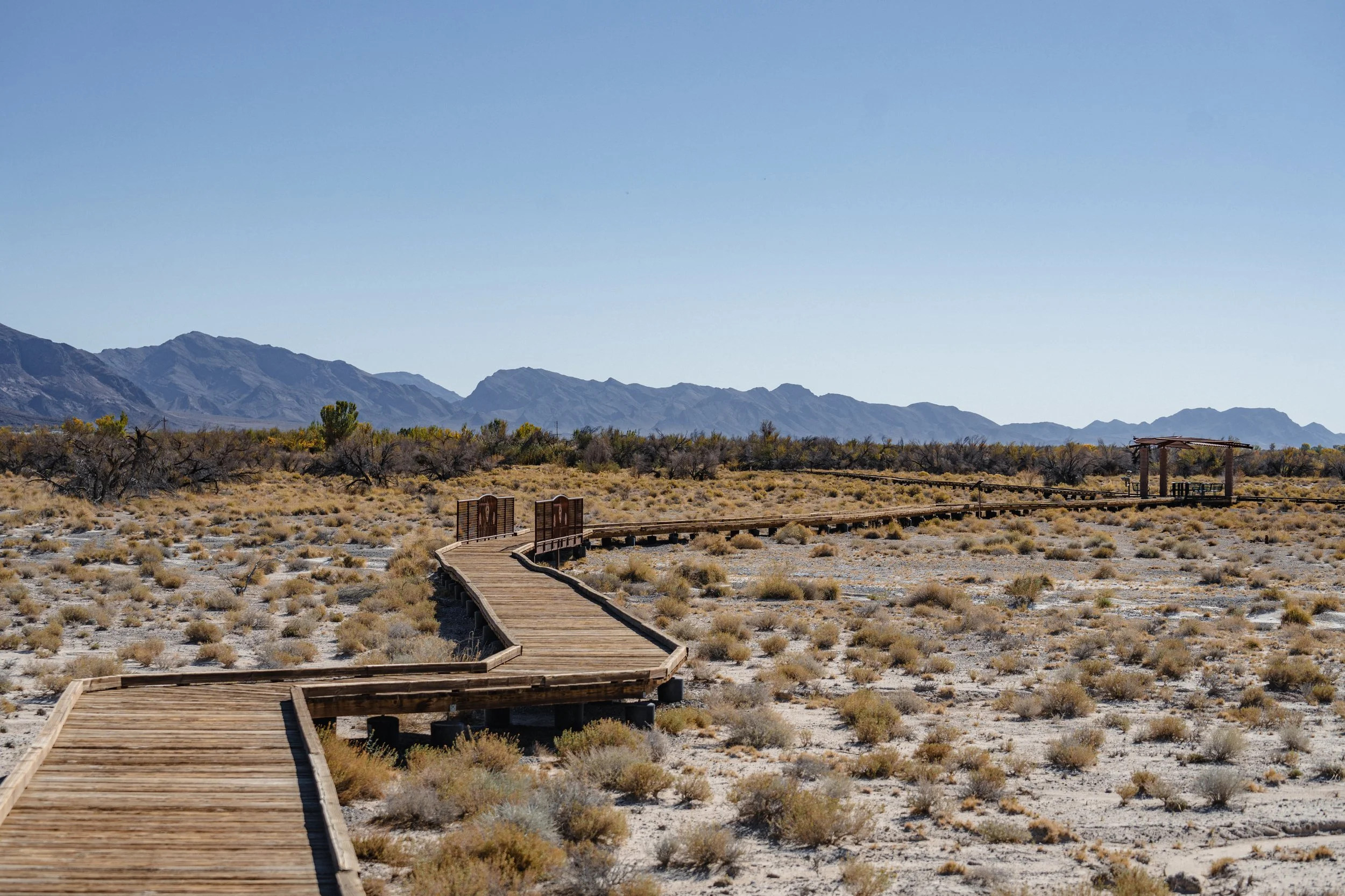The Crystal Springs Boardwalk at Ash Meadows National Wildlife Refuge in Amargosa Valley, Nev.