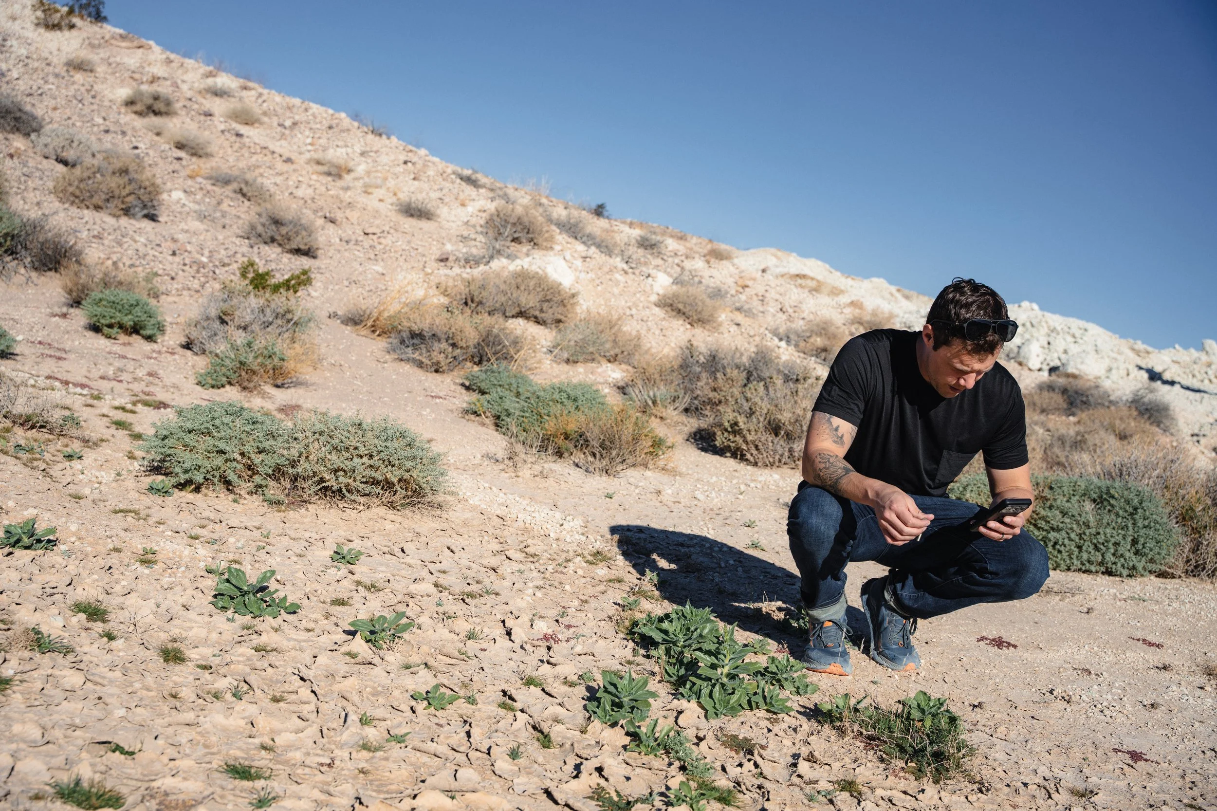 Mason Voehl, Executive Director of the Amargosa Conservancy, attempts to identify a plant growing on the edge of the mine.